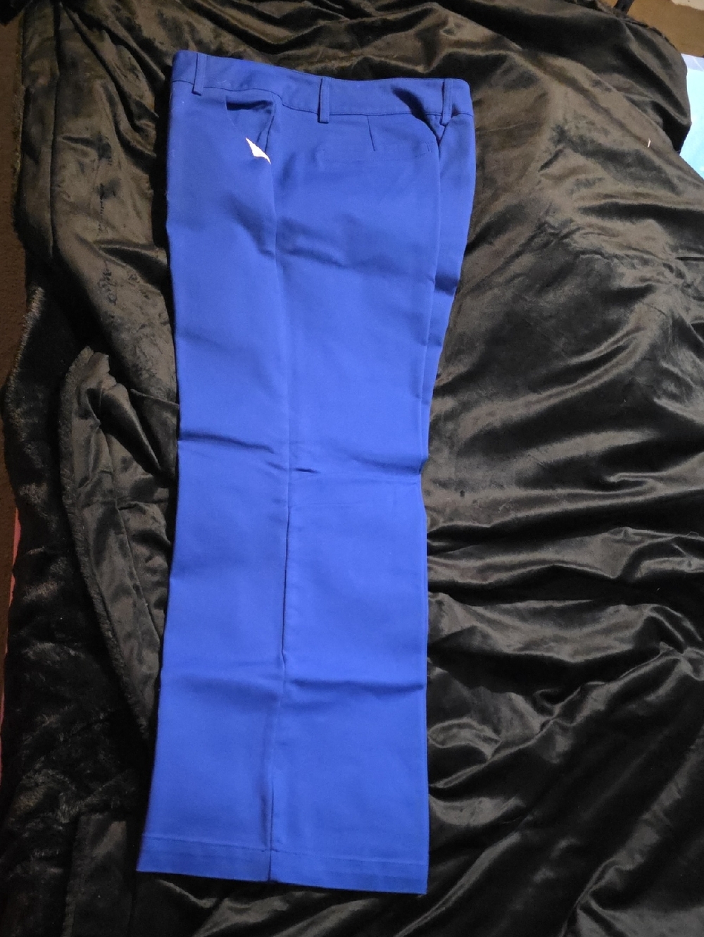 Men's Royal Blue Dress Pants